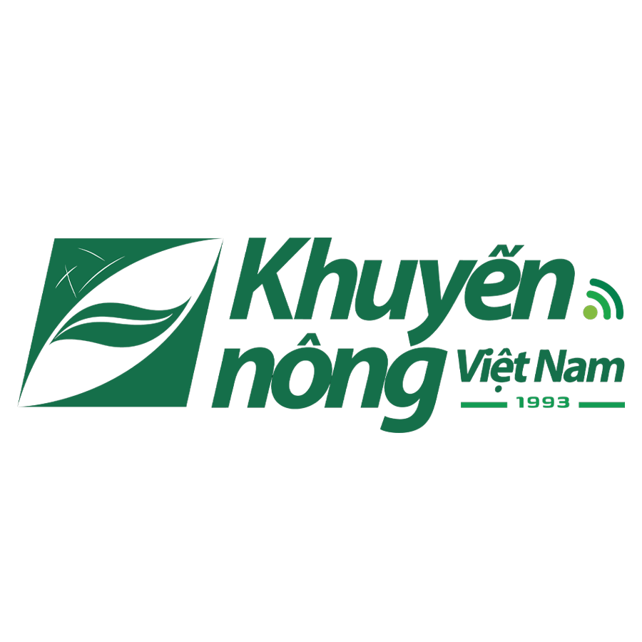 knvn.png